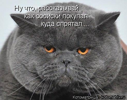 Ну что, рассказывай Ну что, рассказывай как сосиски покупал куда спрятал....... Котоматрица: Ну что, рассказывай Ну что, рассказывай как сосиски покупал куда спрятал....