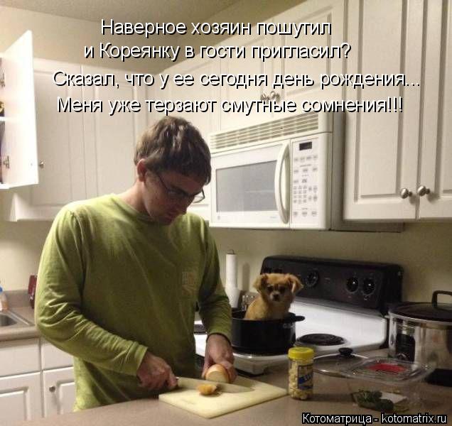 Меня уже терзают смутные сомнения!!! Сказал, что у ее сегодня день рождения... и Кореянку в гости при... Котоматрица: Меня уже терзают смутные сомнения!!! Сказал, что у ее сегодня день рождения... и Кореянку в гости пригласил? Наверное хозяин пошутил