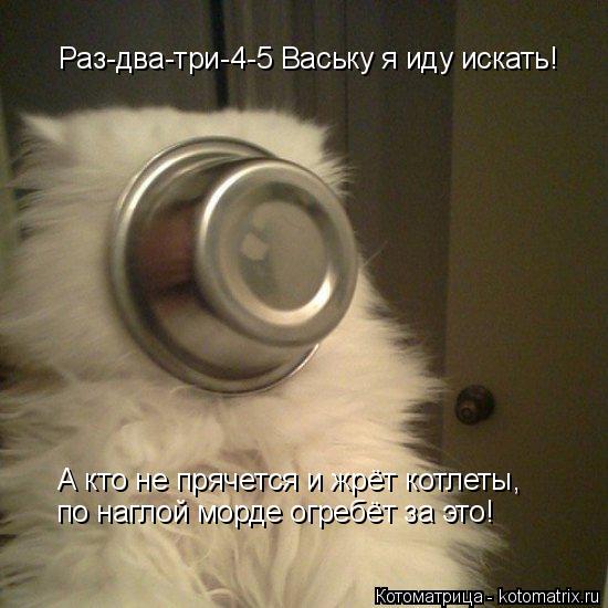 Раз-два-три-4-5 Ваську я иду искать! А кто не прячется и жрёт котлеты, по наглой морде огребёт за это... Котоматрица: Раз-два-три-4-5 Ваську я иду искать! А кто не прячется и жрёт котлеты, по наглой морде огребёт за это!