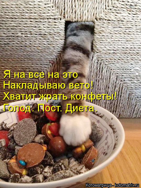 Я на все на это Накладываю вето! Хватит жрать конфеты! Голод. Пост. Диета.... Котоматрица: Я на все на это Накладываю вето! Хватит жрать конфеты! Голод. Пост. Диета.