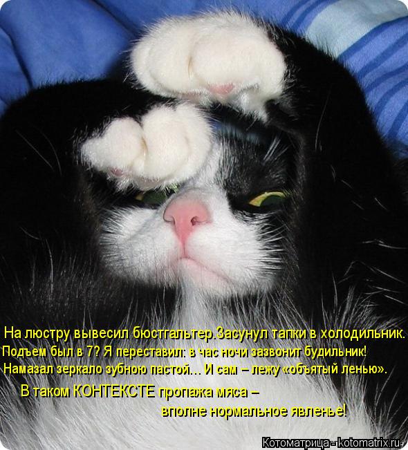 На люстру вывесил бюстгальтер.Засунул тапки в холодильник. Подъем был в 7? Я переставил: в час ночи з... Котоматрица: На люстру вывесил бюстгальтер.Засунул тапки в холодильник. Подъем был в 7? Я переставил: в час ночи зазвонит будильник! Намазал зеркало зубн