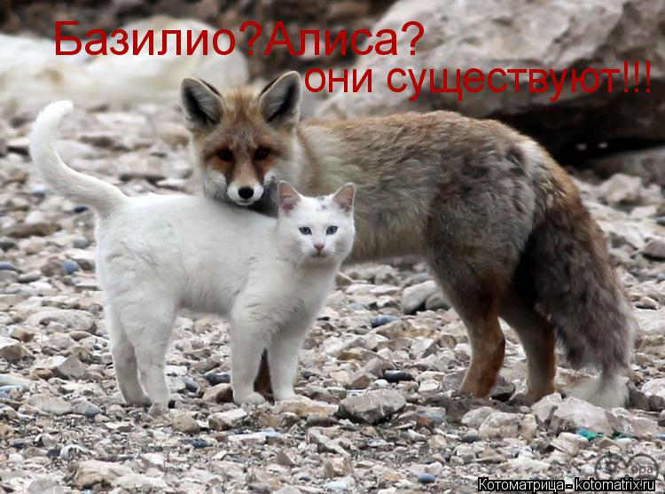 Базилио?Алиса? они существуют!!!... Котоматрица: Базилио?Алиса? они существуют!!!