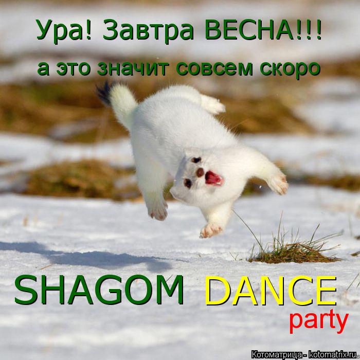 Ура! Завтра ВЕСНА!!! SHAGOM DANCE а это значит совсем скоро party... Котоматрица: Ура! Завтра ВЕСНА!!! SHAGOM DANCE а это значит совсем скоро party