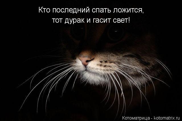 Кто последний спать ложится, тот дурак и гасит свет!... Котоматрица: Кто последний спать ложится, тот дурак и гасит свет!