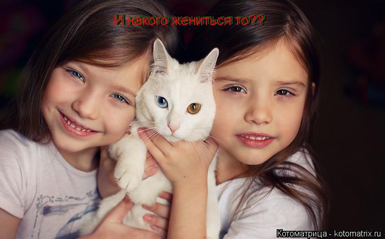 И накого жениться то?? И накого жениться то??... Котоматрица: И накого жениться то?? И накого жениться то??