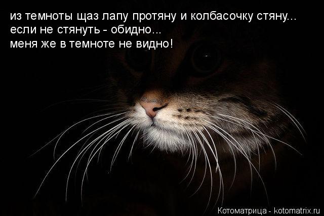 из темноты щаз лапу протяну и колбасочку стяну... если не стянуть - обидно... меня же в темноте не ви... Котоматрица: из темноты щаз лапу протяну и колбасочку стяну... если не стянуть - обидно... меня же в темноте не видно!