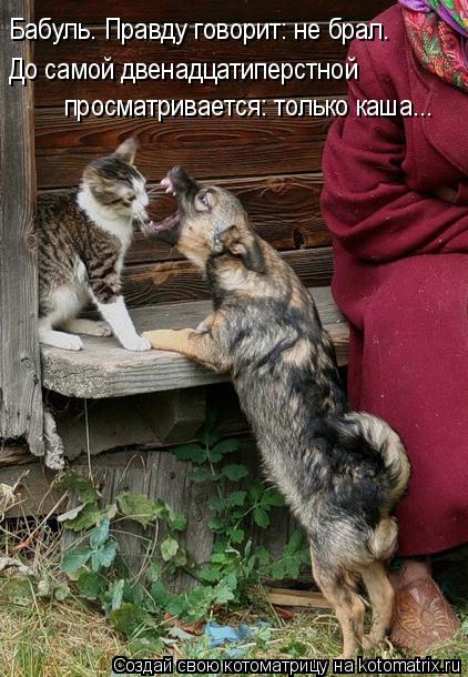 Бабуль. Правду говорит: не брал. До самой двенадцатиперстной просматривается: только каша...... Котоматрица: Бабуль. Правду говорит: не брал. До самой двенадцатиперстной просматривается: только каша...