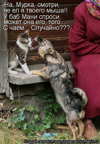 -На, Мурка, смотри, не ел я твоего мыша!! У баб Мани спроси, может она его, того.... С чаем... Случай... Котоматрица: -На, Мурка, смотри, не ел я твоего мыша!! У баб Мани спроси, может она его, того.... С чаем... Случайно???