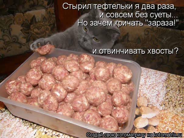 Стырил тефтельки я два раза, и совсем без суеты... Но зачем кричать "зараза!" и отвинчивать хвосты?... Котоматрица: Стырил тефтельки я два раза, и совсем без суеты... Но зачем кричать "зараза!" и отвинчивать хвосты?