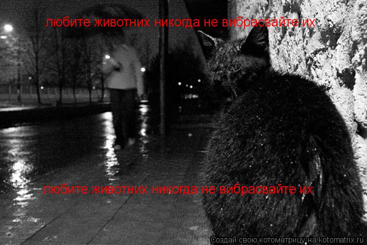 любите животних никогда не вибрасвайте их любите животних никогда не вибрасвайте их... Котоматрица: любите животних никогда не вибрасвайте их любите животних никогда не вибрасвайте их