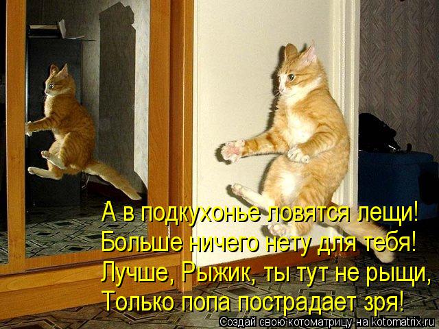 Только попа пострадает зря! Лучше, Рыжик, ты тут не рыщи, Больше ничего нету для тебя! А в подкухонье... Котоматрица: Только попа пострадает зря! Лучше, Рыжик, ты тут не рыщи, Больше ничего нету для тебя! А в подкухонье ловятся лещи!