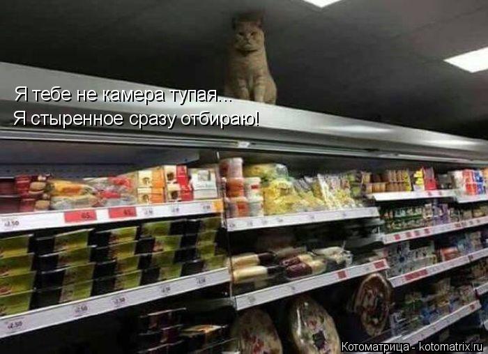 Я тебе не камера тупая... Я стыренное сразу отбираю!... Котоматрица: Я тебе не камера тупая... Я стыренное сразу отбираю!