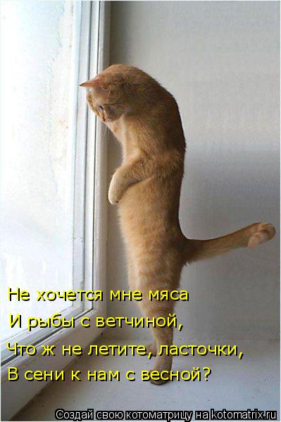 Что ж не летите, ласточки, В сени к нам с весной? Не хочется мне мяса И рыбы с ветчиной,... Котоматрица: Что ж не летите, ласточки, В сени к нам с весной? Не хочется мне мяса И рыбы с ветчиной,