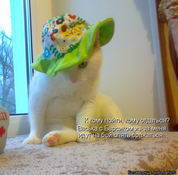К кому пойти, кому отдаться? Васька с Барсиком из-за меня идут на бой опять сражаться...... Котоматрица: К кому пойти, кому отдаться? Васька с Барсиком из-за меня идут на бой опять сражаться...