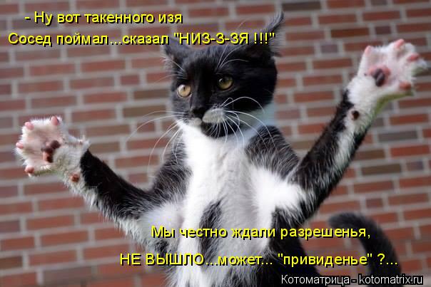 - Ну вот такенного изя Сосед поймал...сказал "НИЗ-З-ЗЯ !!!" Мы честно ждали разрешенья, НЕ ВЫШЛО...мо... Котоматрица: - Ну вот такенного изя Сосед поймал...сказал "НИЗ-З-ЗЯ !!!" Мы честно ждали разрешенья, НЕ ВЫШЛО...может... "привиденье" ?...