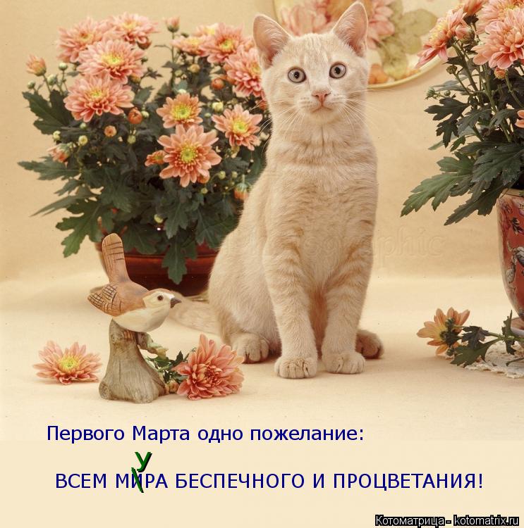 Первого Марта одно пожелание: ВСЕМ МИРА БЕСПЕЧНОГО И ПРОЦВЕТАНИЯ! \ \ У... Котоматрица: Первого Марта одно пожелание: ВСЕМ МИРА БЕСПЕЧНОГО И ПРОЦВЕТАНИЯ! \ \ У