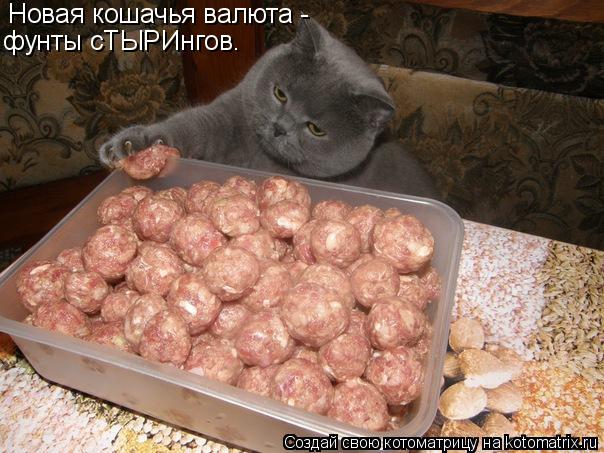 Новая кошачья валюта - фунты сТЫРИнгов.... Котоматрица: Новая кошачья валюта - фунты сТЫРИнгов.