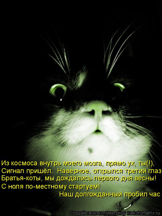 Из космоса внутрь моего мозга, прямо ух, ты(!), Сигнал пришёл. Наверное, открылся третий глаз С ноля... Котоматрица: Из космоса внутрь моего мозга, прямо ух, ты(!), Сигнал пришёл. Наверное, открылся третий глаз С ноля по-местному стартуем! Наш долгожданный пр