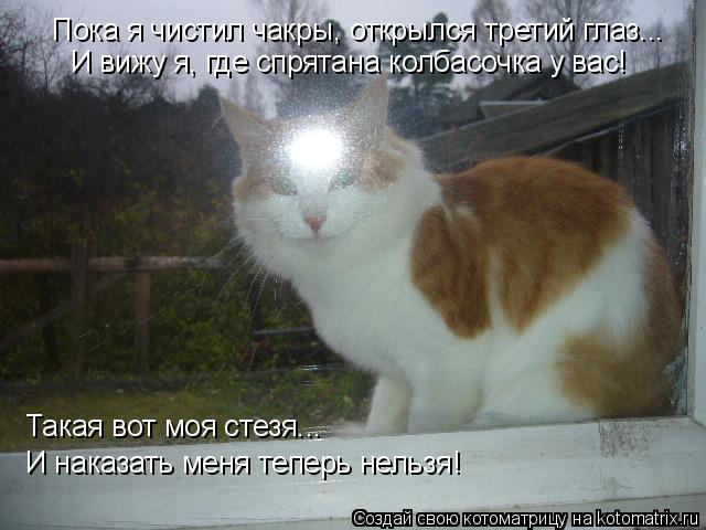 Пока я чистил чакры, открылся третий глаз... И вижу я, где спрятана колбасочка у вас! Такая вот моя с... Котоматрица: Пока я чистил чакры, открылся третий глаз... И вижу я, где спрятана колбасочка у вас! Такая вот моя стезя... И наказать меня теперь нельзя!