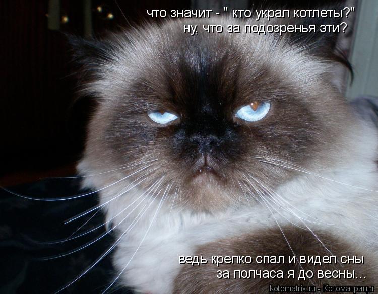 что значит - " кто украл котлеты?" ну, что за подозренья эти? ведь крепко спал и видел сны за полчаса... Котоматрица: что значит - " кто украл котлеты?" ну, что за подозренья эти? ведь крепко спал и видел сны за полчаса я до весны...