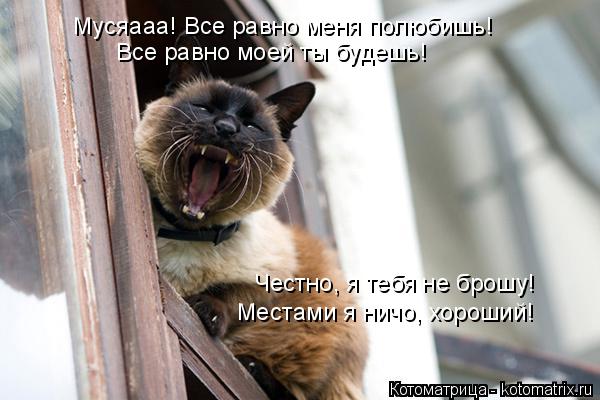 Мусяааа! Все равно меня полюбишь! Все равно моей ты будешь! Честно, я тебя не брошу! Местами я ничо, ... Котоматрица: Мусяааа! Все равно меня полюбишь! Все равно моей ты будешь! Честно, я тебя не брошу! Местами я ничо, хороший!