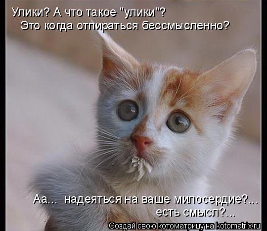 Улики? А что такое "улики"? Это когда отпираться бессмысленно? Аа... надеяться на ваше милосердие?..... Котоматрица: Улики? А что такое "улики"? Это когда отпираться бессмысленно? Аа... надеяться на ваше милосердие?... есть смысл?...