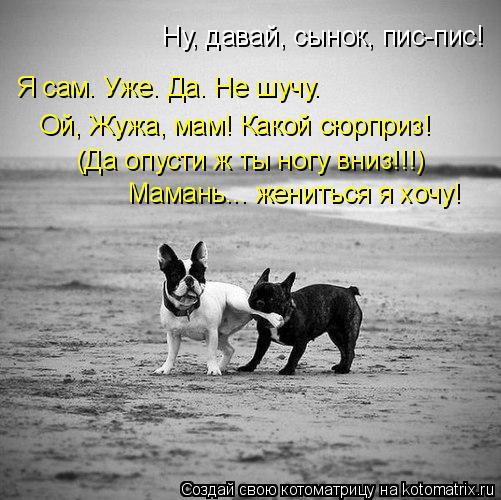 Ну, давай, сынок, пис-пис! Я сам. Уже. Да. Не шучу. Ой, Жужа, мам! Какой сюрприз! (Да опусти ж ты ног... Котоматрица: Ну, давай, сынок, пис-пис! Я сам. Уже. Да. Не шучу. Ой, Жужа, мам! Какой сюрприз! (Да опусти ж ты ногу вниз!!!) Мамань... жениться я хочу!