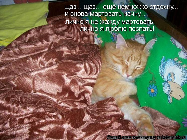 щаз... щаз... ещё немножко отдохну... и снова мартовать начну... лично я не жажду мартовать, лично я ... Котоматрица: щаз... щаз... ещё немножко отдохну... и снова мартовать начну... лично я не жажду мартовать, лично я люблю поспать!