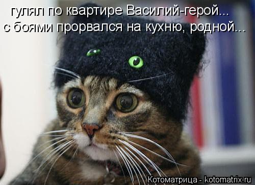 гулял по квартире Василий-герой... с боями прорвался на кухню, родной...... Котоматрица: гулял по квартире Василий-герой... с боями прорвался на кухню, родной...