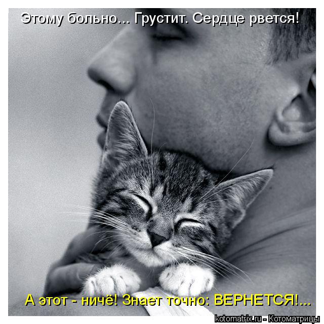 А этот - ничё! Знает точно: ВЕРНЕТСЯ!... Этому больно... Грустит. Сердце рвется!... Котоматрица: А этот - ничё! Знает точно: ВЕРНЕТСЯ!... Этому больно... Грустит. Сердце рвется!