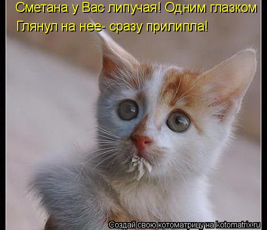 Сметана у Вас липучая! Одним глазком Глянул на нее- сразу прилипла!... Котоматрица: Сметана у Вас липучая! Одним глазком Глянул на нее- сразу прилипла!