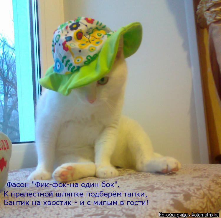 Бантик на хвостик - и с милым в гости! К прелестной шляпке подберём тапки, Фасон "Фик-фок-на один бок... Котоматрица: Бантик на хвостик - и с милым в гости! К прелестной шляпке подберём тапки, Фасон "Фик-фок-на один бок".