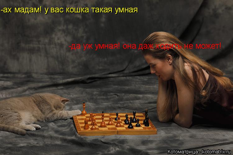 -ах мадам! у вас кошка такая умная -да уж умная! она даж ходить не может!... Котоматрица: -ах мадам! у вас кошка такая умная -да уж умная! она даж ходить не может!