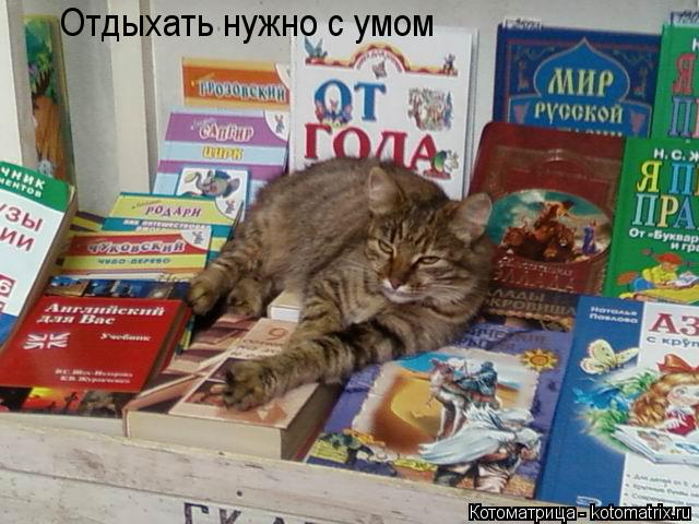 Отдыхать нужно с умом... Котоматрица: Отдыхать нужно с умом