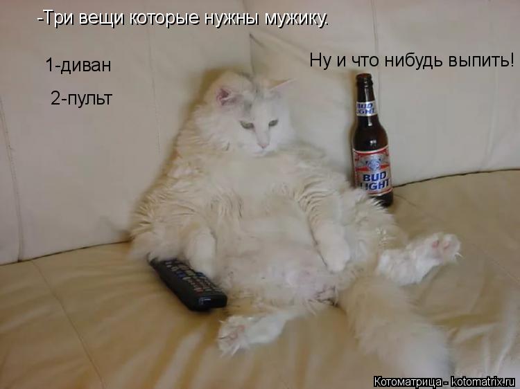 -Три вещи которые нужны мужику. -Три вещи которые нужны мужику. 1-диван 2-пульт Ну и что нибудь вып... Котоматрица: -Три вещи которые нужны мужику. -Три вещи которые нужны мужику. 1-диван 2-пульт Ну и что нибудь выпить!