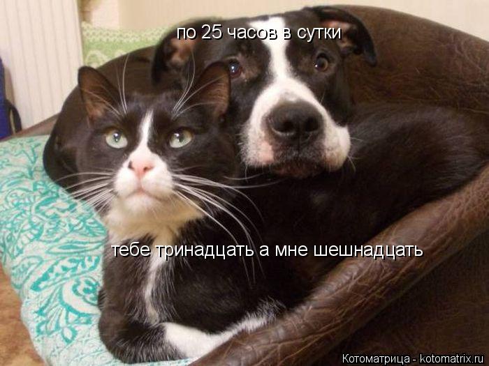 по 25 часов в сутки тебе тринадцать а мне шешнадцать... Котоматрица: по 25 часов в сутки тебе тринадцать а мне шешнадцать