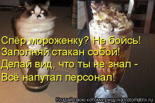 Спёр мороженку? Не бойсь! Заполняй стакан собой! Делай вид, что ты не знал - Всё напутал персонал!... Котоматрица: Спёр мороженку? Не бойсь! Заполняй стакан собой! Делай вид, что ты не знал - Всё напутал персонал!
