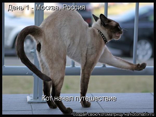 День 1 - Москва, Россия Кот начал путешествие... Котоматрица: День 1 - Москва, Россия Кот начал путешествие
