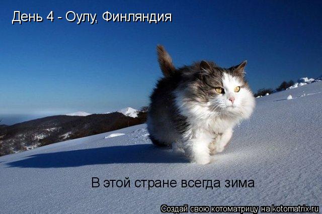 День 4 - Оулу, Финляндия В этой стране всегда зима... Котоматрица: День 4 - Оулу, Финляндия В этой стране всегда зима