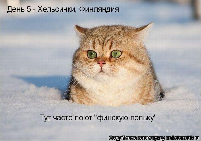 День 5 - Хельсинки, Финляндия Тут часто поют "финскую польку"... Котоматрица: День 5 - Хельсинки, Финляндия Тут часто поют "финскую польку"