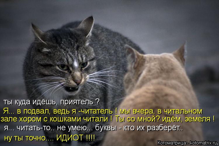 ты куда идёшь, приятель ? Я... в подвал, ведь я -читатель ! мы вчера, в читальном зале хором с кошкам... Котоматрица: ты куда идёшь, приятель ? Я... в подвал, ведь я -читатель ! мы вчера, в читальном зале хором с кошками читали ! Ты со мной? идём, земеля ! я... читать