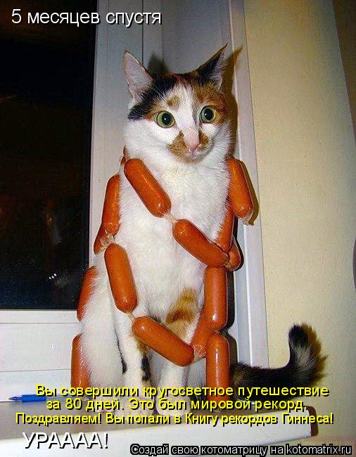 5 месяцев спустя Вы совершили кругосветное путешествие за 80 дней. Это был мировой рекорд. Поздравляе... Котоматрица: 5 месяцев спустя Вы совершили кругосветное путешествие за 80 дней. Это был мировой рекорд. Поздравляем! Вы попали в Книгу рекордов Гиннеса! У