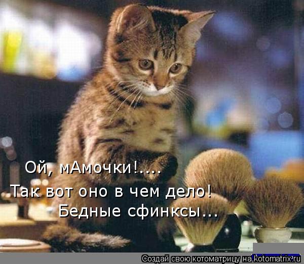 Так вот оно в чем дело! Бедные сфинксы... Ой, мАмочки!....... Котоматрица: Так вот оно в чем дело! Бедные сфинксы... Ой, мАмочки!....
