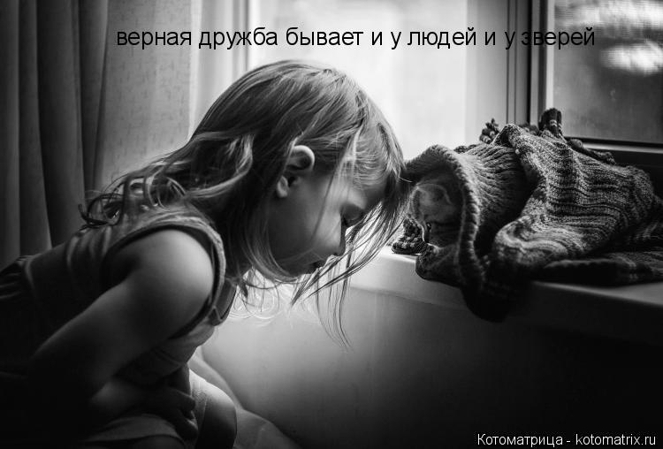 верная дружба бывает и у людей и у зверей... Котоматрица: верная дружба бывает и у людей и у зверей