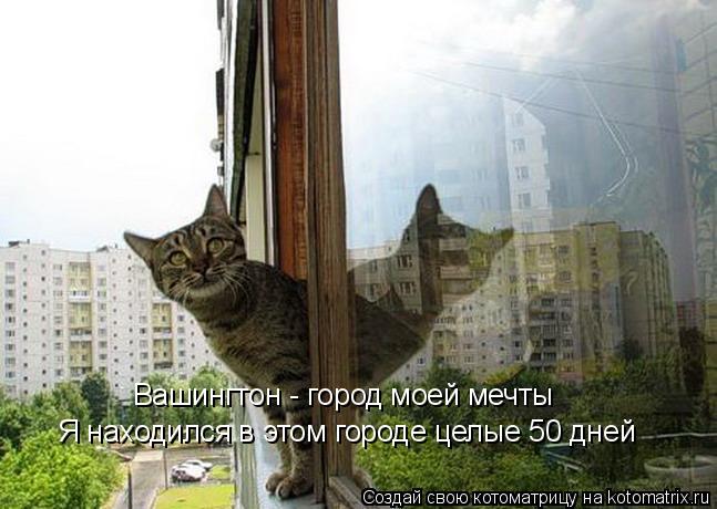 Вашингтон - город моей мечты Я находился в этом городе целые 50 дней... Котоматрица: Вашингтон - город моей мечты Я находился в этом городе целые 50 дней