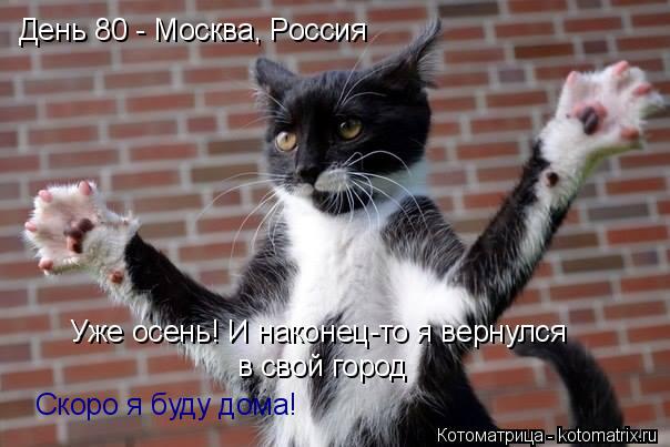 День 80 - Москва, Россия Уже осень! И наконец-то я вернулся в свой город Скоро я буду дома!... Котоматрица: День 80 - Москва, Россия Уже осень! И наконец-то я вернулся в свой город Скоро я буду дома!