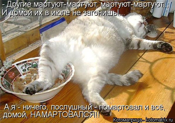 - Другие мартуют-мартуют, мартуют-мартуют... А я - ничего, послушный - помартовал и всё, домой, НАМА... Котоматрица: - Другие мартуют-мартуют, мартуют-мартуют... А я - ничего, послушный - помартовал и всё, домой, НАМАРТОВАЛСЯ!! И домой их в июле не загонишь!...