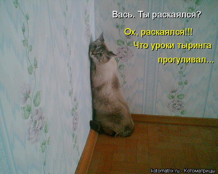 Вась. Ты раскаялся? Ох, раскаялся!!! Что уроки тыринга прогуливал...... Котоматрица: Вась. Ты раскаялся? Ох, раскаялся!!! Что уроки тыринга прогуливал...