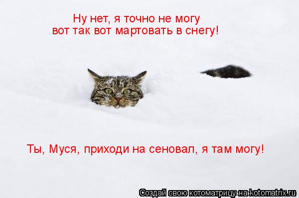 Ну нет, я точно не могу вот так вот мартовать в снегу! Ты, Муся, приходи на сеновал, я там могу!... Котоматрица: Ну нет, я точно не могу вот так вот мартовать в снегу! Ты, Муся, приходи на сеновал, я там могу!