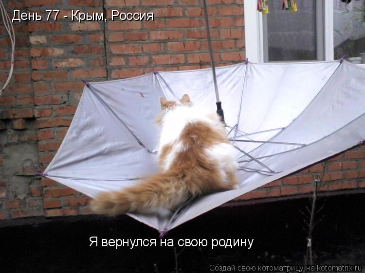 День 77 - Крым, Россия Я вернулся на свою родину... Котоматрица: День 77 - Крым, Россия Я вернулся на свою родину